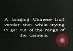 Immagine di Raccolto persimmon Chihli Cina, 1928, secondo 27 filmato di repertorio 65675066289