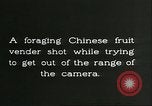 Immagine di Raccolto persimmon Chihli Cina, 1928, secondo 28 filmato di repertorio 65675066289