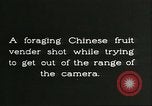 Immagine di Raccolto persimmon Chihli Cina, 1928, secondo 30 filmato di repertorio 65675066289