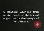 Immagine di Raccolto persimmon Chihli Cina, 1928, secondo 35 filmato di repertorio 65675066289