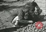 Image plaqueminier transportation Chihli Chine, 1928, de la seconde 12 séquences d'archives historiques vidéo 65675066290