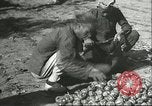 Image plaqueminier transportation Chihli Chine, 1928, de la seconde 13 séquences d'archives historiques vidéo 65675066290