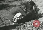 Image plaqueminier transportation Chihli Chine, 1928, de la seconde 14 séquences d'archives historiques vidéo 65675066290
