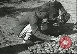 Image plaqueminier transportation Chihli Chine, 1928, de la seconde 16 séquences d'archives historiques vidéo 65675066290