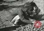 Image plaqueminier transportation Chihli Chine, 1928, de la seconde 17 séquences d'archives historiques vidéo 65675066290