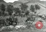 Image plaqueminier transportation Chihli Chine, 1928, de la seconde 33 séquences d'archives historiques vidéo 65675066290