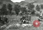 Image plaqueminier transportation Chihli Chine, 1928, de la seconde 35 séquences d'archives historiques vidéo 65675066290