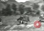 Image plaqueminier transportation Chihli Chine, 1928, de la seconde 36 séquences d'archives historiques vidéo 65675066290