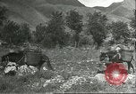 Image plaqueminier transportation Chihli Chine, 1928, de la seconde 38 séquences d'archives historiques vidéo 65675066290