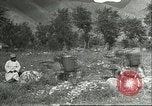 Image plaqueminier transportation Chihli Chine, 1928, de la seconde 44 séquences d'archives historiques vidéo 65675066290