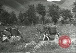 Image plaqueminier transportation Chihli Chine, 1928, de la seconde 45 séquences d'archives historiques vidéo 65675066290