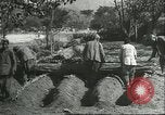 Image plaqueminier storage Chihli Chine, 1928, de la seconde 21 séquences d'archives historiques vidéo 65675066291