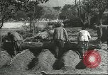 Image plaqueminier storage Chihli Chine, 1928, de la seconde 22 séquences d'archives historiques vidéo 65675066291