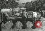 Image plaqueminier storage Chihli Chine, 1928, de la seconde 23 séquences d'archives historiques vidéo 65675066291