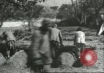 Image plaqueminier storage Chihli Chine, 1928, de la seconde 24 séquences d'archives historiques vidéo 65675066291