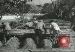 Image plaqueminier storage Chihli Chine, 1928, de la seconde 25 séquences d'archives historiques vidéo 65675066291