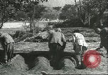 Image plaqueminier storage Chihli Chine, 1928, de la seconde 26 séquences d'archives historiques vidéo 65675066291