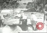 Image plaqueminier storage Chihli Chine, 1928, de la seconde 27 séquences d'archives historiques vidéo 65675066291