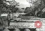 Image plaqueminier storage Chihli Chine, 1928, de la seconde 39 séquences d'archives historiques vidéo 65675066291