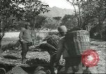 Image plaqueminier storage Chihli Chine, 1928, de la seconde 42 séquences d'archives historiques vidéo 65675066291
