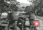 Image plaqueminier storage Chihli Chine, 1928, de la seconde 43 séquences d'archives historiques vidéo 65675066291