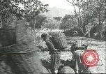 Image plaqueminier storage Chihli Chine, 1928, de la seconde 45 séquences d'archives historiques vidéo 65675066291