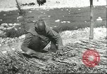 Image plaqueminier storage Chihli Chine, 1928, de la seconde 59 séquences d'archives historiques vidéo 65675066291