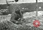 Image plaqueminier storage Chihli Chine, 1928, de la seconde 60 séquences d'archives historiques vidéo 65675066291