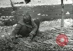Image plaqueminier storage Chihli Chine, 1928, de la seconde 61 séquences d'archives historiques vidéo 65675066291