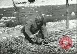 Image plaqueminier storage Chihli Chine, 1928, de la seconde 62 séquences d'archives historiques vidéo 65675066291