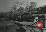 Immagine di Persimmon letti di storage Chihli Cina, 1928, secondo 6 filmato di repertorio 65675066292