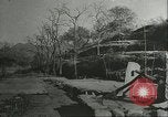 Immagine di Persimmon letti di storage Chihli Cina, 1928, secondo 8 filmato di repertorio 65675066292