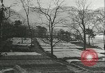 Immagine di Persimmon letti di storage Chihli Cina, 1928, secondo 32 filmato di repertorio 65675066292