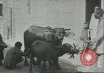 Standbild Street Life China, 1932, aus Sekunde 57 historischem Filmmaterial Videoclip 65675066297