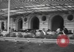 Immagine di Club Francese Shanghai ora l'Okura Garden Hotel Shanghai in Cina, 1928, secondo 31 filmato di repertorio 65675066302