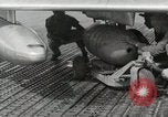 Immagine di F-86 Sabre La corea di Suwon, 1953, secondo 18 filmato di repertorio 65675066308