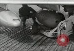 Immagine di F-86 Sabre La corea di Suwon, 1953, secondo 19 filmato di repertorio 65675066308