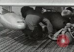Immagine di F-86 Sabre La corea di Suwon, 1953, secondo 24 filmato di repertorio 65675066308