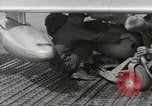 Immagine di F-86 Sabre La corea di Suwon, 1953, secondo 27 filmato di repertorio 65675066308