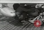 Immagine di F-86 Sabre La corea di Suwon, 1953, secondo 28 filmato di repertorio 65675066308