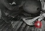 Immagine di F-86 Sabre La corea di Suwon, 1953, secondo 31 filmato di repertorio 65675066308
