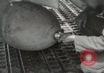 Immagine di F-86 Sabre La corea di Suwon, 1953, secondo 43 filmato di repertorio 65675066308
