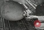Immagine di F-86 Sabre La corea di Suwon, 1953, secondo 49 filmato di repertorio 65675066308
