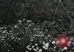 Standbild Rot Legacy Österreich, 1956, aus Sekunde 22 historischem Filmmaterial Videoclip 65675066313