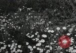 Standbild Rot Legacy Österreich, 1956, aus Sekunde 23 historischem Filmmaterial Videoclip 65675066313