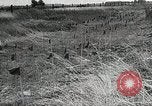 Standbild Rot Legacy Österreich, 1956, aus Sekunde 30 historischem Filmmaterial Videoclip 65675066313