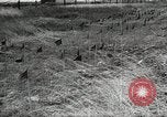 Standbild Rot Legacy Österreich, 1956, aus Sekunde 31 historischem Filmmaterial Videoclip 65675066313