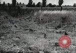 Standbild Rot Legacy Österreich, 1956, aus Sekunde 33 historischem Filmmaterial Videoclip 65675066313