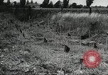 Standbild Rot Legacy Österreich, 1956, aus Sekunde 34 historischem Filmmaterial Videoclip 65675066313