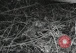 Standbild Rot Legacy Österreich, 1956, aus Sekunde 37 historischem Filmmaterial Videoclip 65675066313